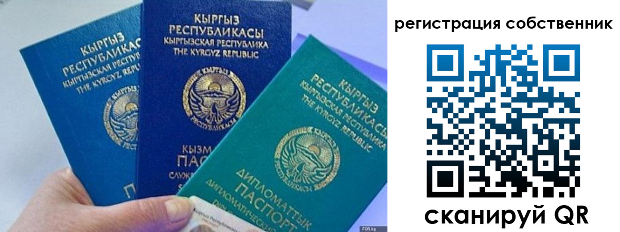 регистрация в Зиме